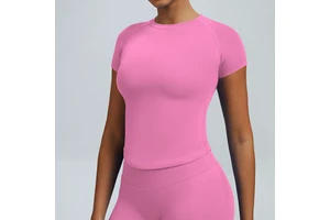 Seamless Short Sleeve Crew Neck High Elastic Breathable Running Workout T Shirt Custom Logo Gym Sports Fitness Yoga Top