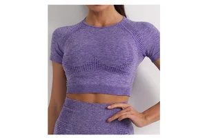 Wholesale High Elastic Yoga Top Quick Dry Short Sleeve Fitness Sportswear with Front Logo for Running and Sports