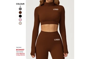 Custom High-Quality Brushed Long-Sleeved Yoga T-Shirt Hollow-Out Back Tights Workout Top Outdoor Running Fitness Sports Top