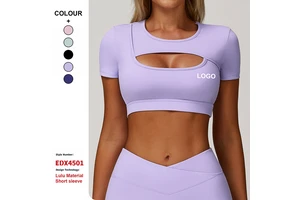 Wholesale Summer Breathable High Support Yoga Tee Shirts Quick Dry Mesh Slim-Fit Workout Shirts Women with Built-in Pad