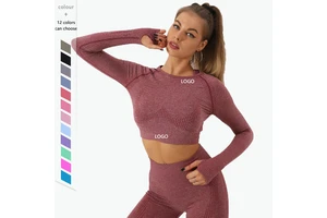 Wholesale Women Sportswear Seamless Long Sleeve Yoga Top Shirt for Women Quick Dry Clothes Autumn Winter Running Fitness Wear