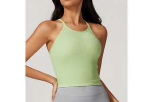 2025 Women's 10 Colors Quick Dry Round Neck Slim Fit Seamless Gym Vest Breathable Skinny Basic Ribbed Yoga Tops