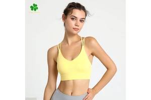 Women's Summer Yoga Bra Vest Beauty Back Quick-Drying Fitness Sports Lulu Breathable Shockproof Spandex/Nylon Skinny Fit V-neck