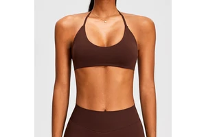 Sports Underwear Seamless Glossy Quick-drying Nylon Spandex Fitness Top Women's Sexy Yoga Bra Running