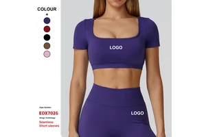 Custom Seamless Sports Fitness Shorts Sleeve Quick-Drying Breathable Yoga Wear Top Women Running Sports Short Sleeved T Shirt