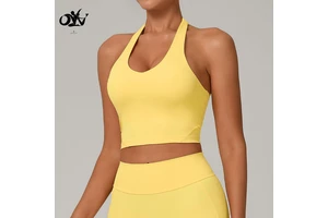 Adjustable Halter Backless Fitness Sports Top Quick-drying Beautiful Back Yoga Bra for Women Wholesale Casual Soft Yoga Clothing