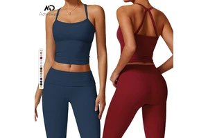 2025 Top Sale Sports Bra Cropped Tank Tops Solid Color High Impact Yoga Vest Quick-dry Fitness Top Running Sports Vest for Women