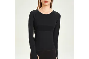 Yoga Top Wholesale High Elasticity Quick Drying Slim Fitness Top Women's Autumn New Premium Running Fitness Wear Long Sleeve