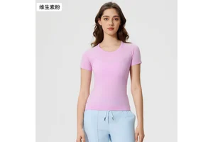 Round Neck Seamless Slim Fit Shirts Short Sleeve Plain Quick Dry Gym Athletic Tees for Women