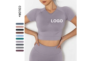Custom Logo Breathable Quick-drying Seamless Fitness Gym Wear Sports Yoga Tops Short Sleeve Women's Shirt Wholesaler