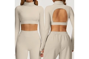 Wholesaler New High Neck Seamless Shockproof Back Hollow Long Sleeve Custom Logo Sports Bra Yoga Top Fitness Gym Wear for Women